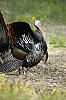 DSC_0124.jpgb.jpg