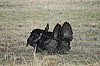 DSC_0125.jpg