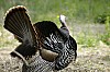 DSC_0125.jpgb.jpg