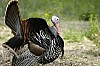 DSC_0126.jpgb.jpg