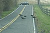 DSC_0127.jpg