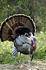DSC_0129.jpgb.jpg
