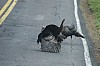 DSC_0131.jpg