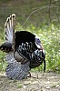 DSC_0131.jpgb.jpg