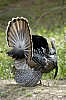 DSC_0133.jpgb.jpg