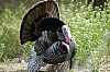 DSC_0134.jpgb.jpg