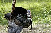 DSC_0135.jpgb.jpg