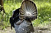 DSC_0138.jpgb.jpg