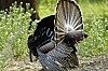 DSC_0139.jpgb.jpg