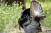 DSC_0140.jpgb.jpg