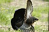 DSC_0142.jpgb.jpg
