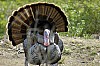 DSC_0143.jpgb.jpg