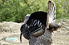 DSC_0144.jpgb.jpg