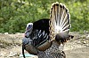 DSC_0145.jpgb.jpg