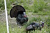 DSC_0146.jpgb.jpg