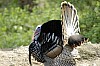 DSC_0147.jpgb.jpg