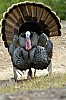 DSC_0149.jpgb.jpg