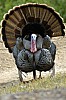 DSC_0150.jpgb.jpg