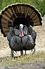 DSC_0151.jpgb.jpg