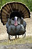 DSC_0152.jpgb.jpg
