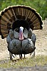 DSC_0153.jpgb.jpg