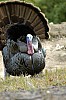 DSC_0157.jpgb.jpg