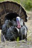 DSC_0160.jpgb.jpg