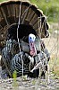 DSC_0161.jpgb.jpg