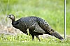 DSC_0162.jpgb.jpg
