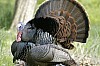 DSC_0166.jpgb.jpg