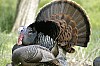 DSC_0167.jpgb.jpg