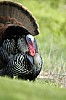 DSC_0168.jpgb.jpg