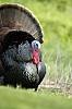 DSC_0169.jpgb.jpg