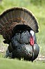 DSC_0173.jpgb.jpg