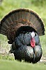DSC_0174.jpgb.jpg