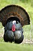 DSC_0175.jpgb.jpg