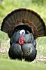 DSC_0176.jpgb.jpg