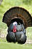 DSC_0178.jpgb.jpg