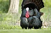 DSC_0180.jpgb.jpg