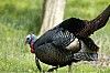 DSC_0181.jpgb.jpg