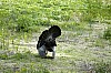 DSC_0183.jpgb.jpg