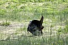 DSC_0184.jpgb.jpg