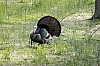 DSC_0185.jpgb.jpg