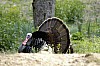 DSC_0186.jpgb.jpg