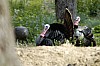 DSC_0187.jpgb.jpg