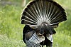DSC_0191.jpgb.jpg