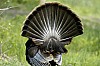 DSC_0192.jpgb.jpg