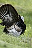 DSC_0193.jpgb.jpg