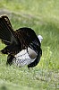 DSC_0194.jpgb.jpg