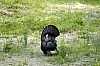 DSC_0197.jpgb.jpg